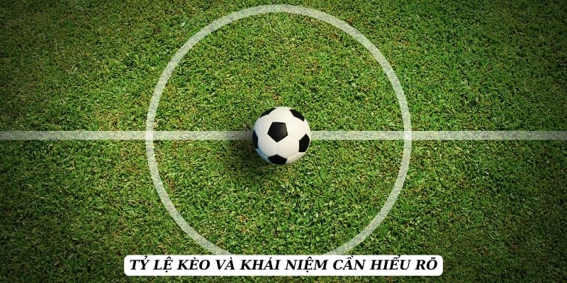 ty-le-keo-khai-niem-tong-quan